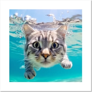 Cat Pet Animal Fun Playing Water Outdoor Posters and Art